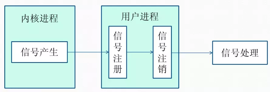 信号的生命周期