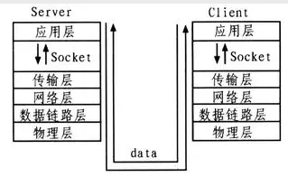 Socket——应用层和传输层之间的桥梁